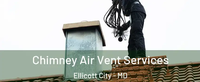  Chimney Air Vent Services Ellicott City - MD