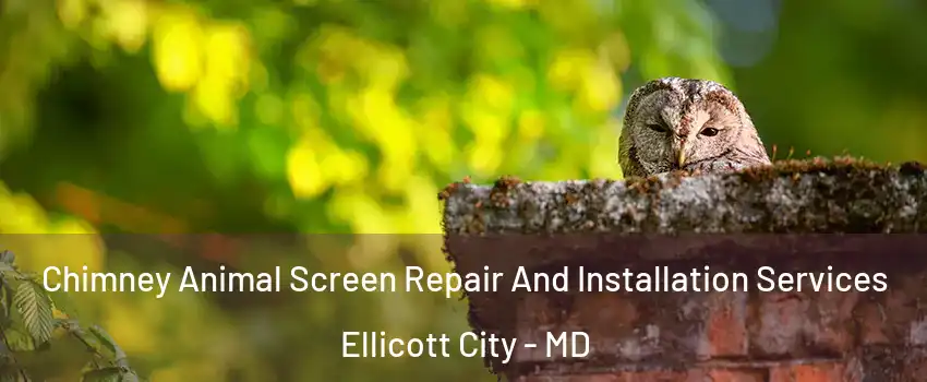 Chimney Animal Screen Repair And Installation Services Ellicott City - MD