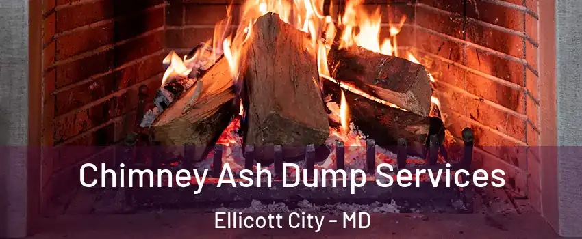  Chimney Ash Dump Services Ellicott City - MD