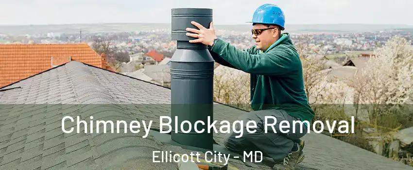  Chimney Blockage Removal Ellicott City - MD