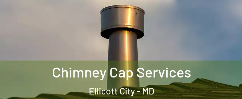  Chimney Cap Services Ellicott City - MD