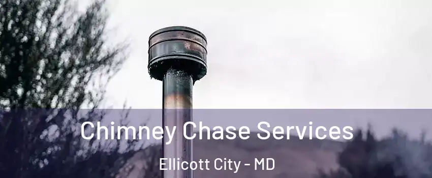  Chimney Chase Services Ellicott City - MD
