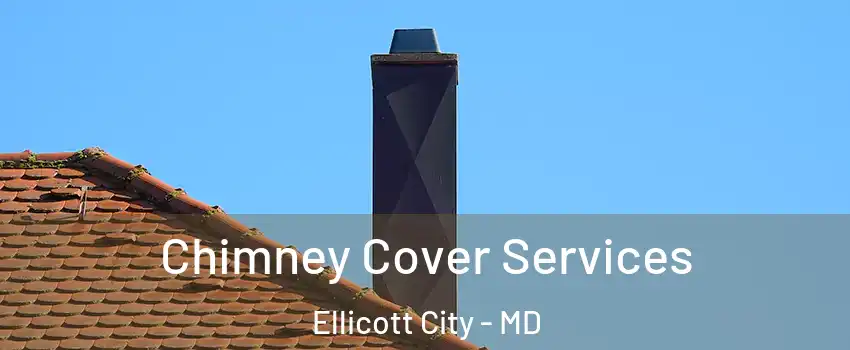  Chimney Cover Services Ellicott City - MD