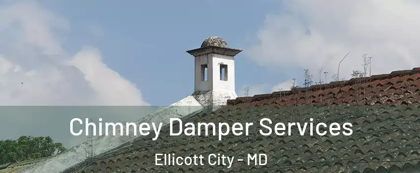  Chimney Damper Services Ellicott City - MD