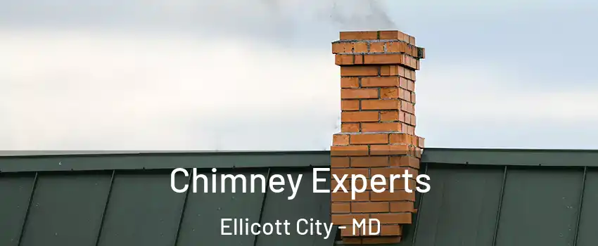  Chimney Experts Ellicott City - MD