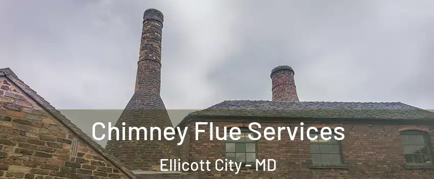  Chimney Flue Services Ellicott City - MD