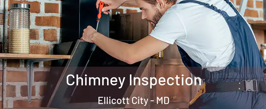  Chimney Inspection Ellicott City - MD