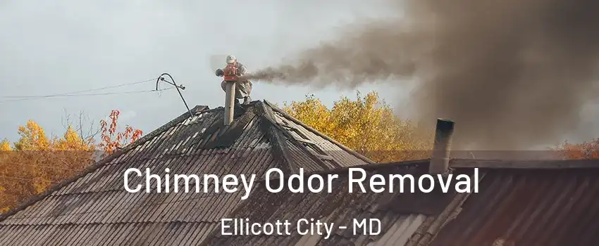  Chimney Odor Removal Ellicott City - MD