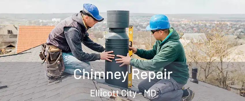  Chimney Repair Ellicott City - MD