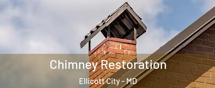  Chimney Restoration Ellicott City - MD