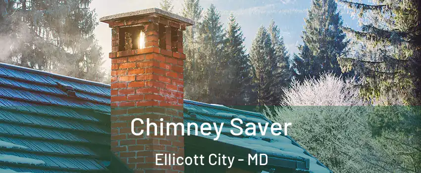  Chimney Saver Ellicott City - MD