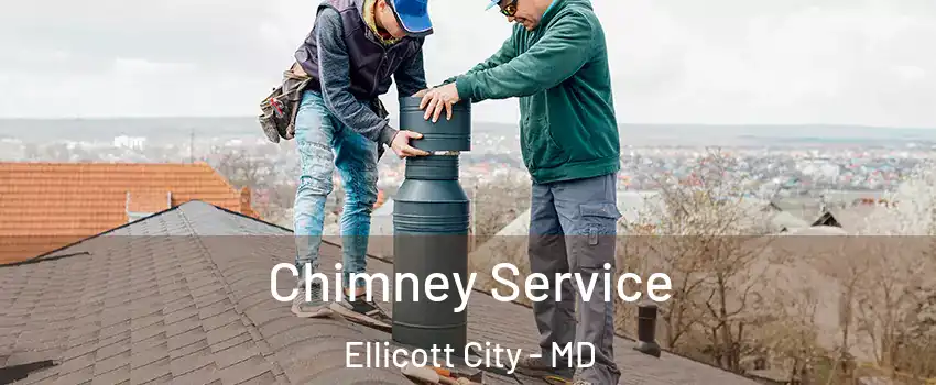  Chimney Service Ellicott City - MD