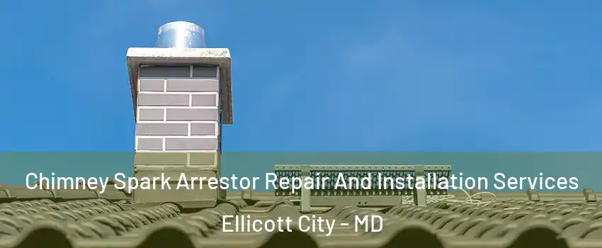  Chimney Spark Arrestor Repair And Installation Services Ellicott City - MD