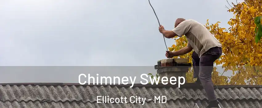  Chimney Sweep Ellicott City - MD