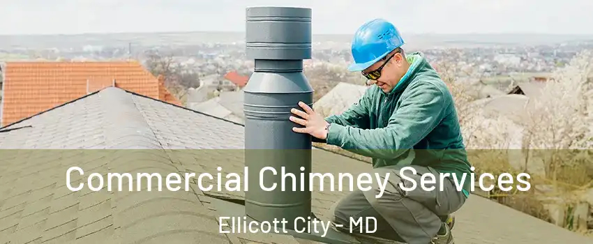  Commercial Chimney Services Ellicott City - MD