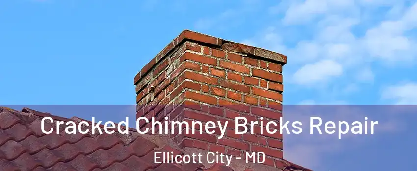  Cracked Chimney Bricks Repair Ellicott City - MD