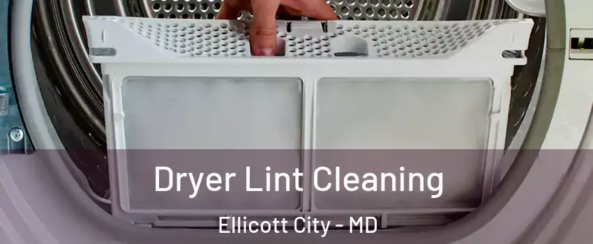  Dryer Lint Cleaning Ellicott City - MD
