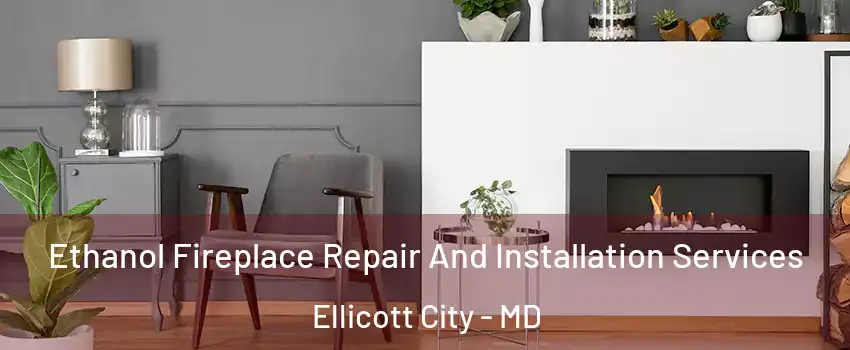  Ethanol Fireplace Repair And Installation Services Ellicott City - MD