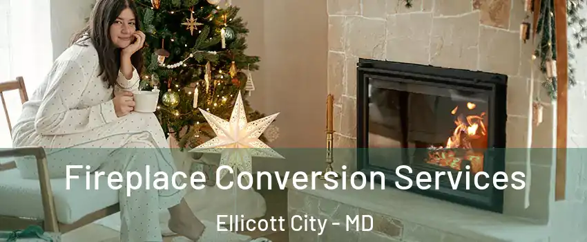  Fireplace Conversion Services Ellicott City - MD