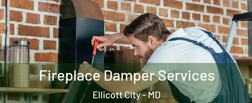  Fireplace Damper Services Ellicott City - MD