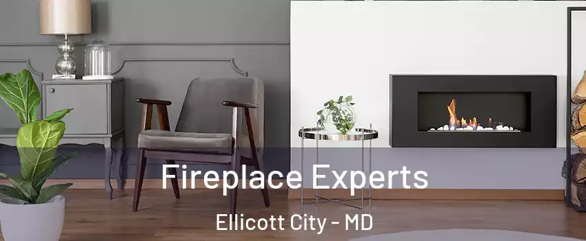  Fireplace Experts Ellicott City - MD