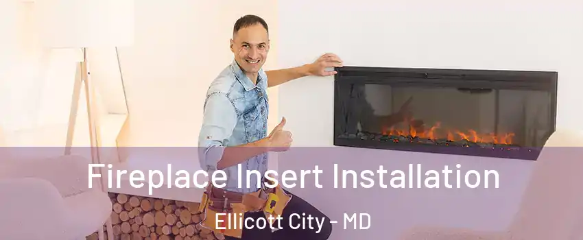  Fireplace Insert Installation Ellicott City - MD