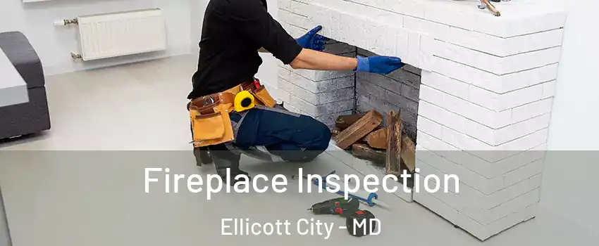 Fireplace Inspection Ellicott City - MD