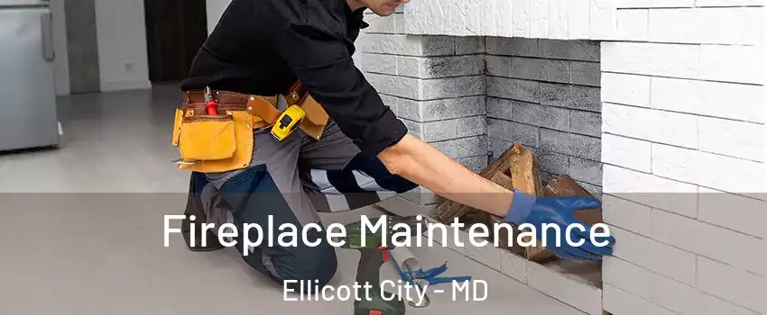  Fireplace Maintenance Ellicott City - MD