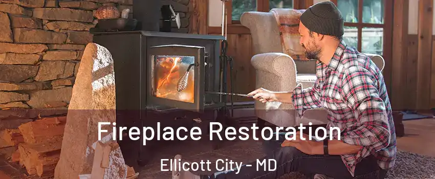  Fireplace Restoration Ellicott City - MD