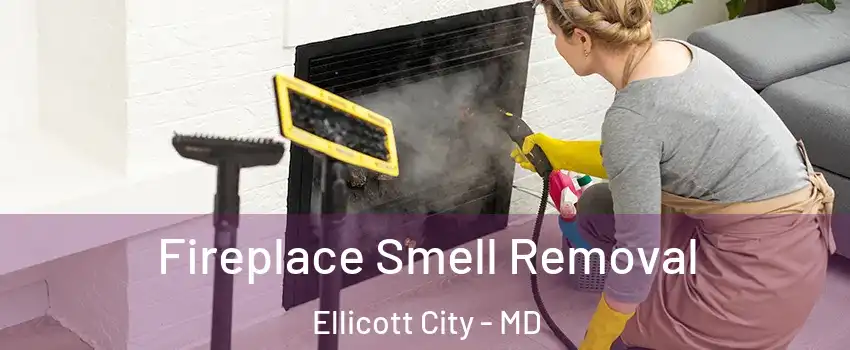  Fireplace Smell Removal Ellicott City - MD