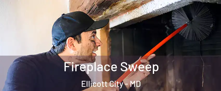  Fireplace Sweep Ellicott City - MD