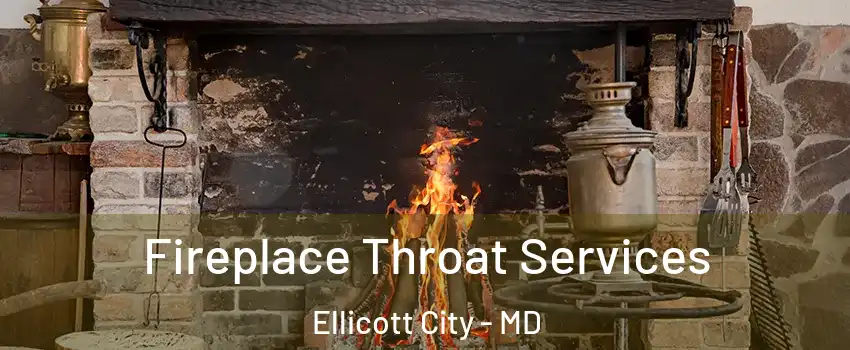  Fireplace Throat Services Ellicott City - MD