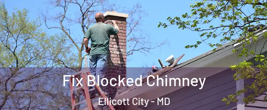  Fix Blocked Chimney Ellicott City - MD