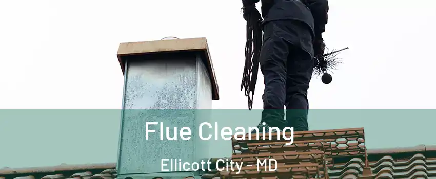  Flue Cleaning Ellicott City - MD