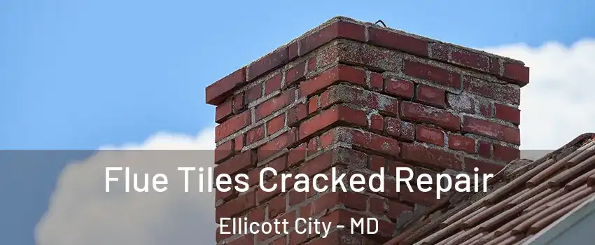 Flue Tiles Cracked Repair Ellicott City - MD