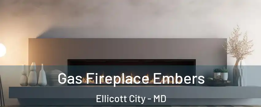  Gas Fireplace Embers Ellicott City - MD
