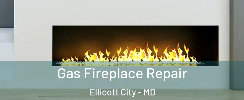  Gas Fireplace Repair Ellicott City - MD