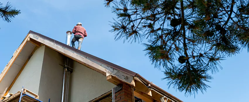 Birds Removal Contractors from Chimney in Ellicott City, MD