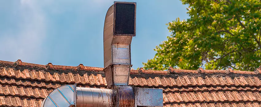 Chimney Blockage Removal in Ellicott City, Maryland