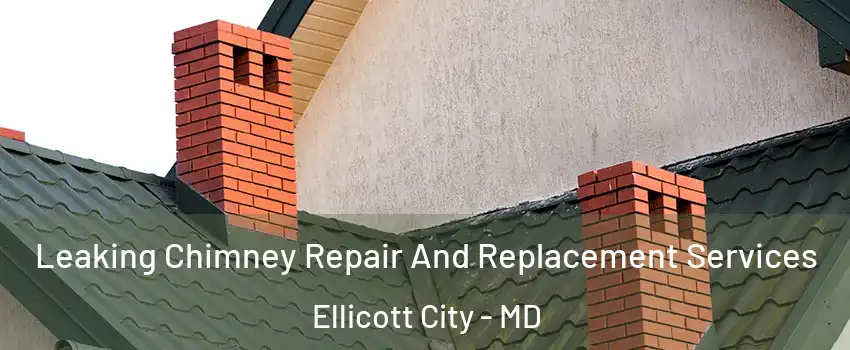  Leaking Chimney Repair And Replacement Services Ellicott City - MD