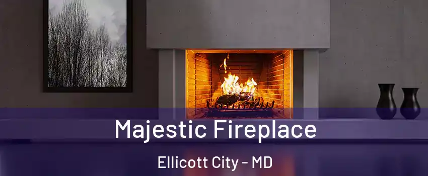  Majestic Fireplace Ellicott City - MD