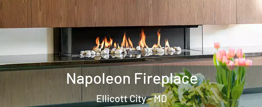  Napoleon Fireplace Ellicott City - MD