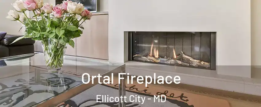 Ortal Fireplace Ellicott City - MD