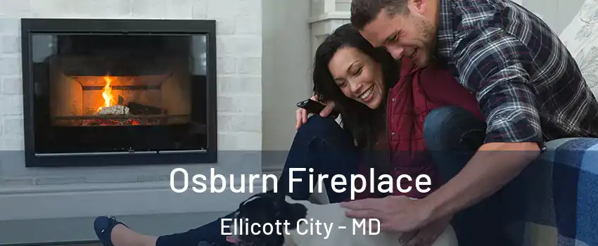  Osburn Fireplace Ellicott City - MD
