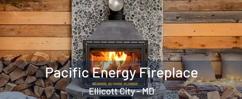  Pacific Energy Fireplace Ellicott City - MD